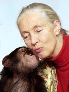 jane_goodall