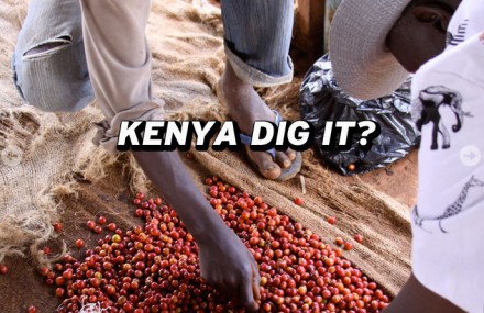 kenya-round-two