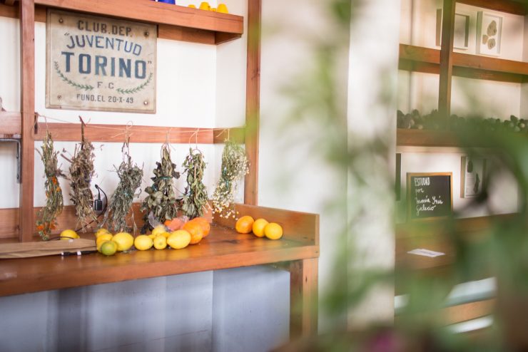 cafe trabalengua valparaiso chile taller barista coffee south america sprudge