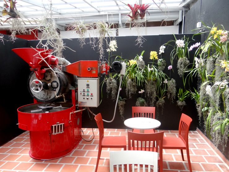 amor perfecto bogota colombia specialty coffee cafe sprudge