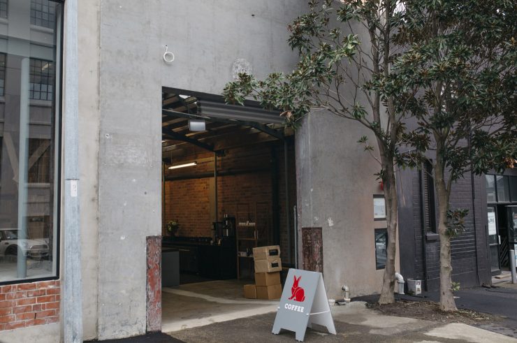 red rabbit coffee company auckland new zealand roastery cafe sprudge