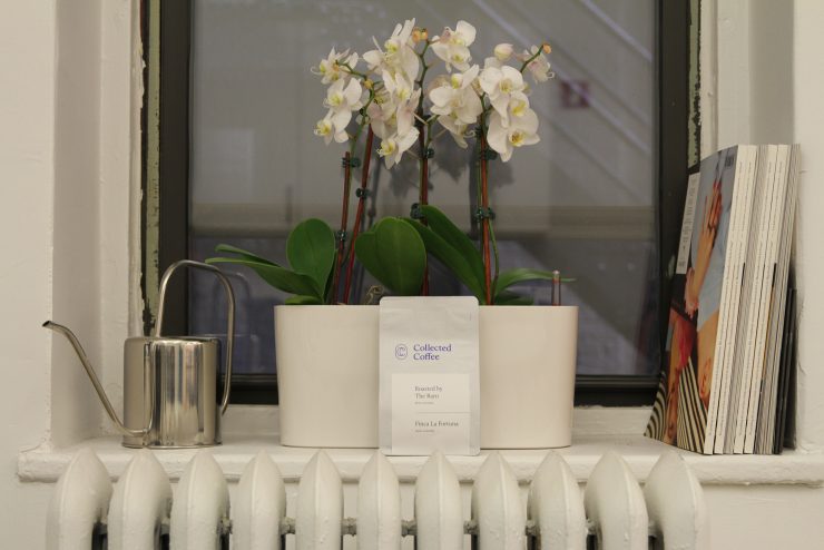 collected coffee international subscription coffee roaster new york city sprudge