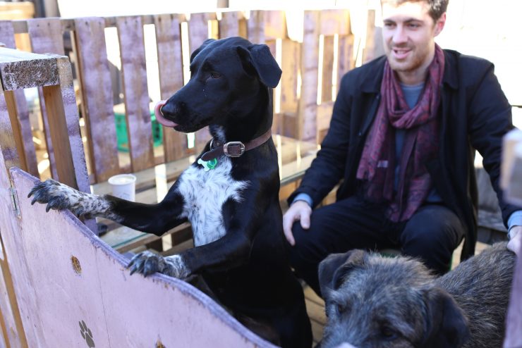 dog house melbourne collingwood victoria cafe rosso roasting company coffee sprudge