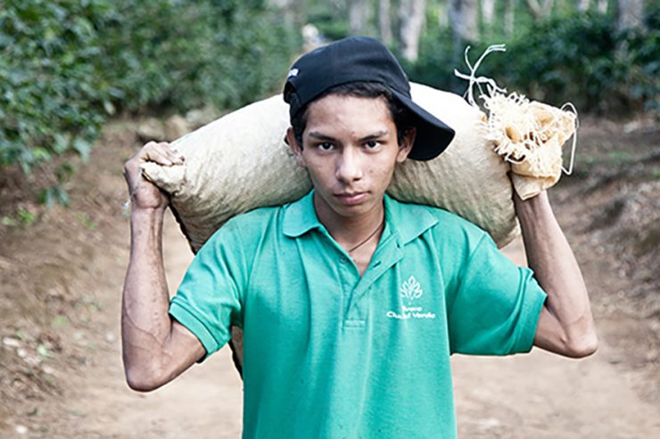 TCI_A_Brewing_Storm_Banner1-1