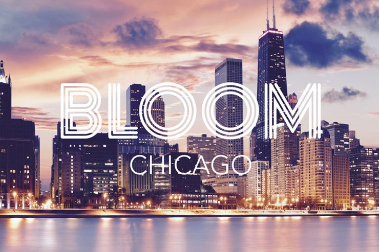 bloom-website-homepage-1