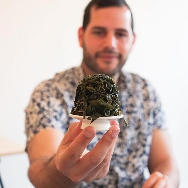 jordanschererspirittea