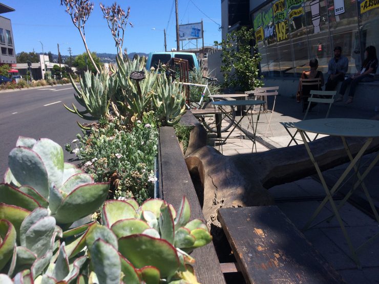 Bay Area Coffee Succulents-subrosa-parklet
