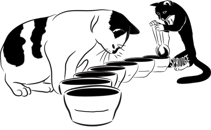 cupping cats sprudge