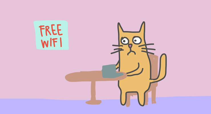 cat-free-wifi