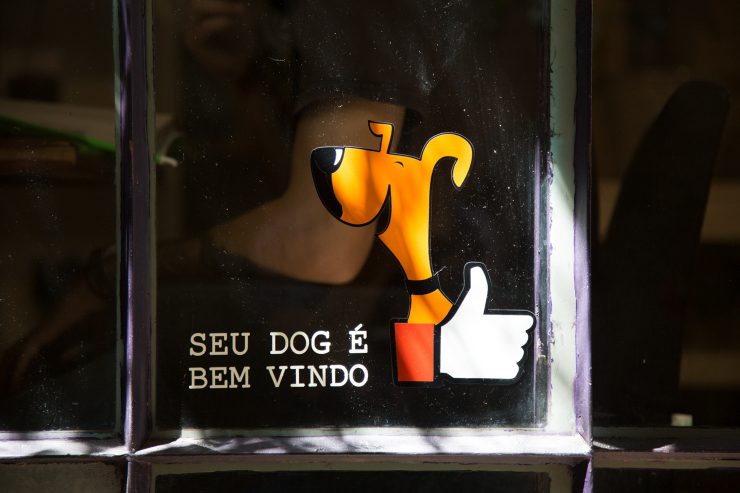 sao paulo coffee sprudge coffee lab