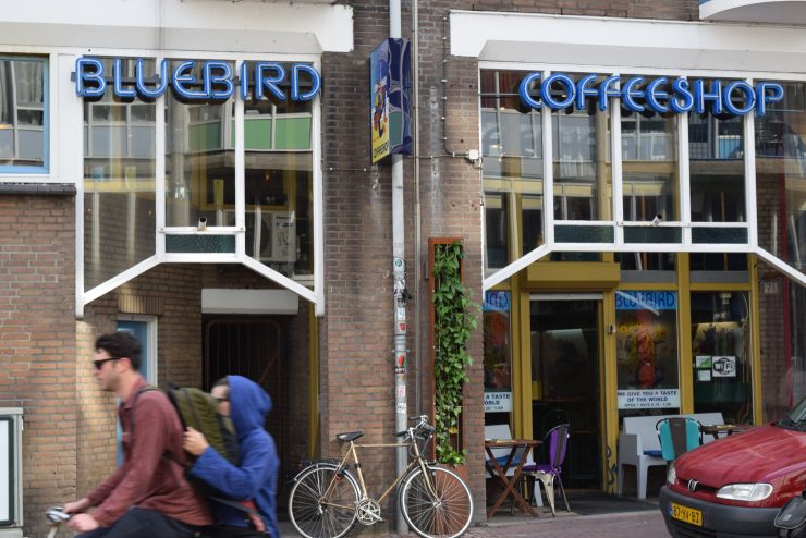 amsterdam coffeeshops coffee barneys lounge the bluebird bulldog la tertuila de tweede kamer dampkring sprudge