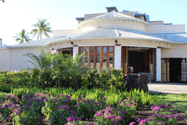 BuildOuts Of Summer Honolulu Coffee In Honolulu, Hawaii Sprudge Coffee