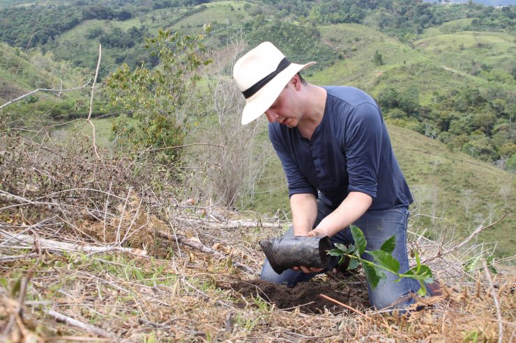 TW planting Typica in February 2015