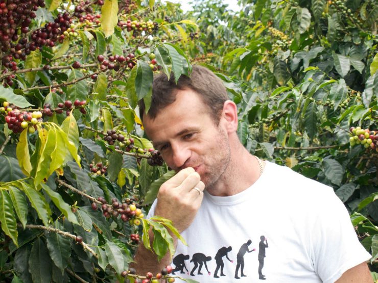sasa sestic cafe imports colombia interview origin coffee sprudge