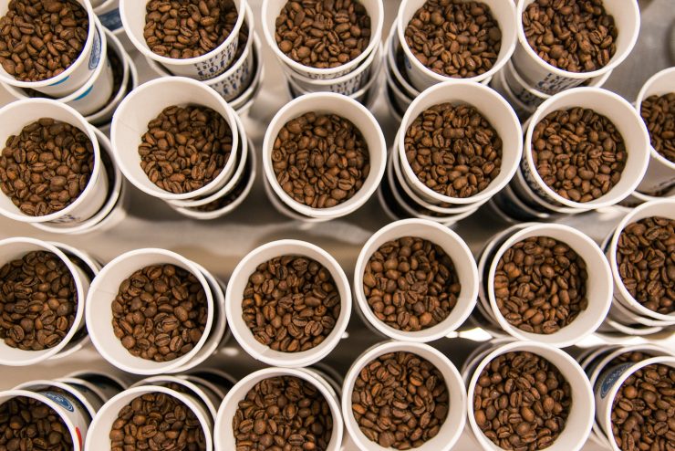 swiss water popup nyc new york city cafe grumpy noble tree decaf coffee sprudge