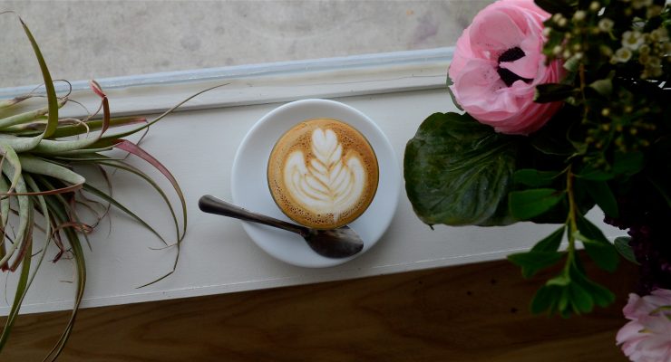 lula rose general store denver colorado coffee cafe florist denim colfax avenue sprudge