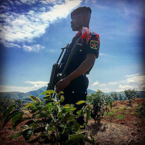 democratic republic of congo africa coffee higher grounds saveur du kivu producer farmer origin chris treter sprudge