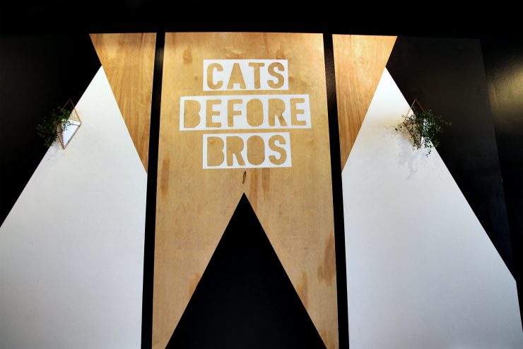 crumbs and whiskers cat cafe los angeles california open space coffee sprudge