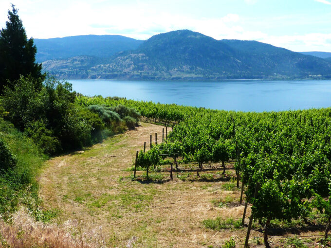 okanagan valley bc lockandworth estatevyd michael alberty 17
