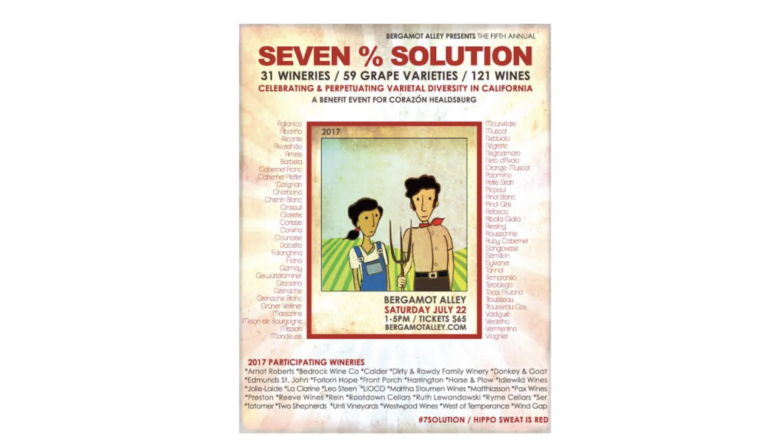 seven solution flyer lede