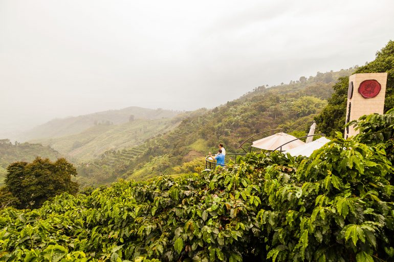 cafe san alberto lucia hernandez