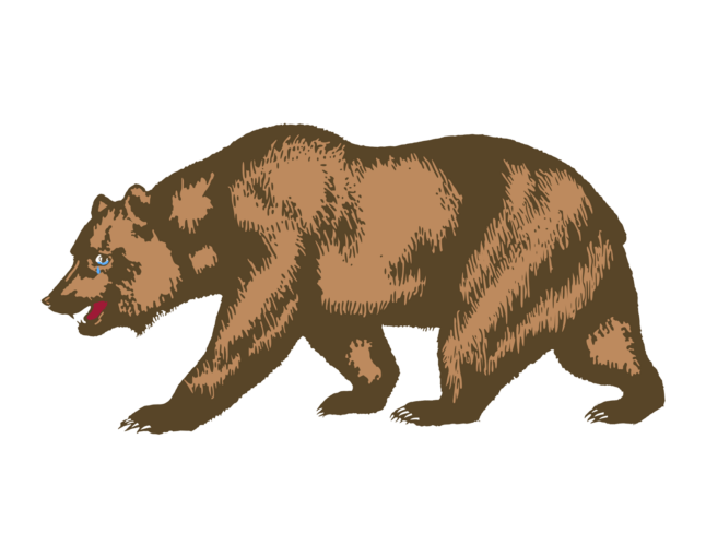 bear 2
