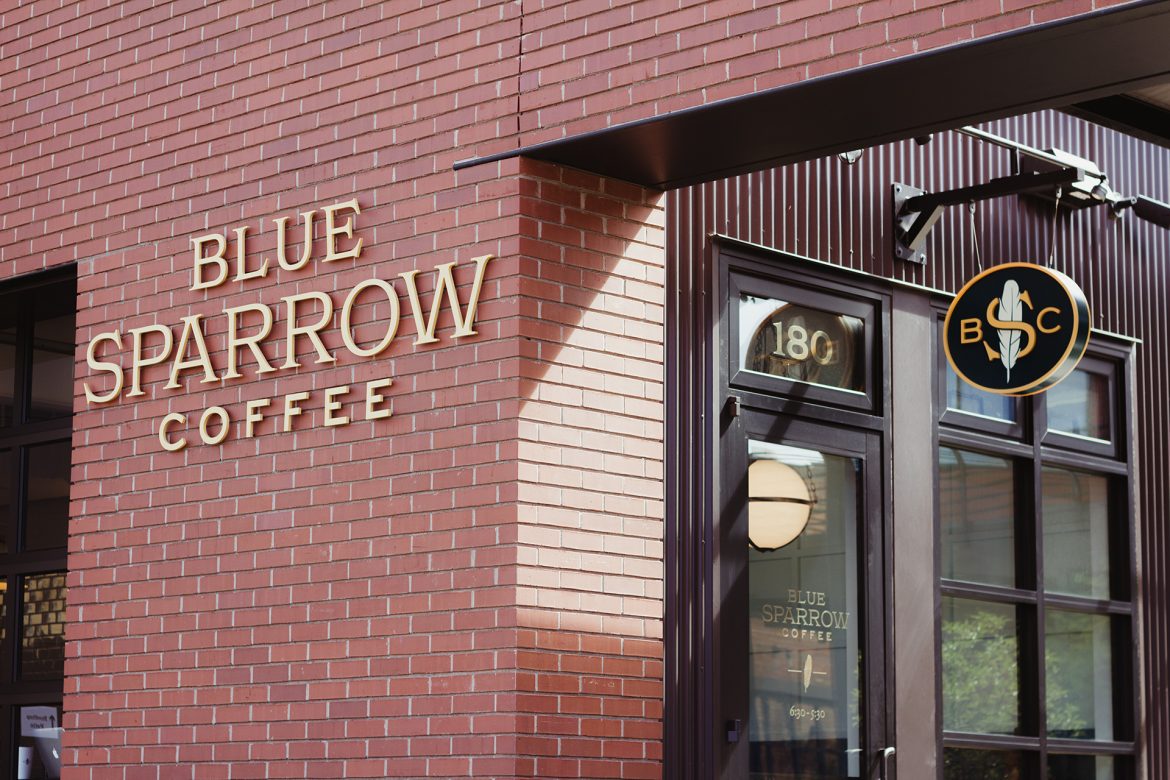 blue sparrow coffee denver colorado
