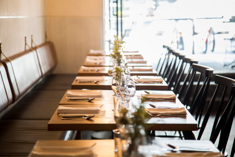 loupbar daylight bogaradamemendoza