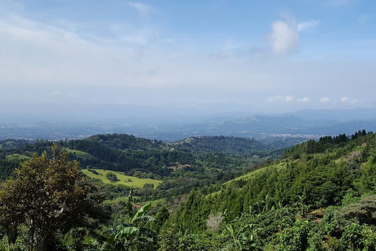 plantin costa rica kickstarter Nicolás Salcedo