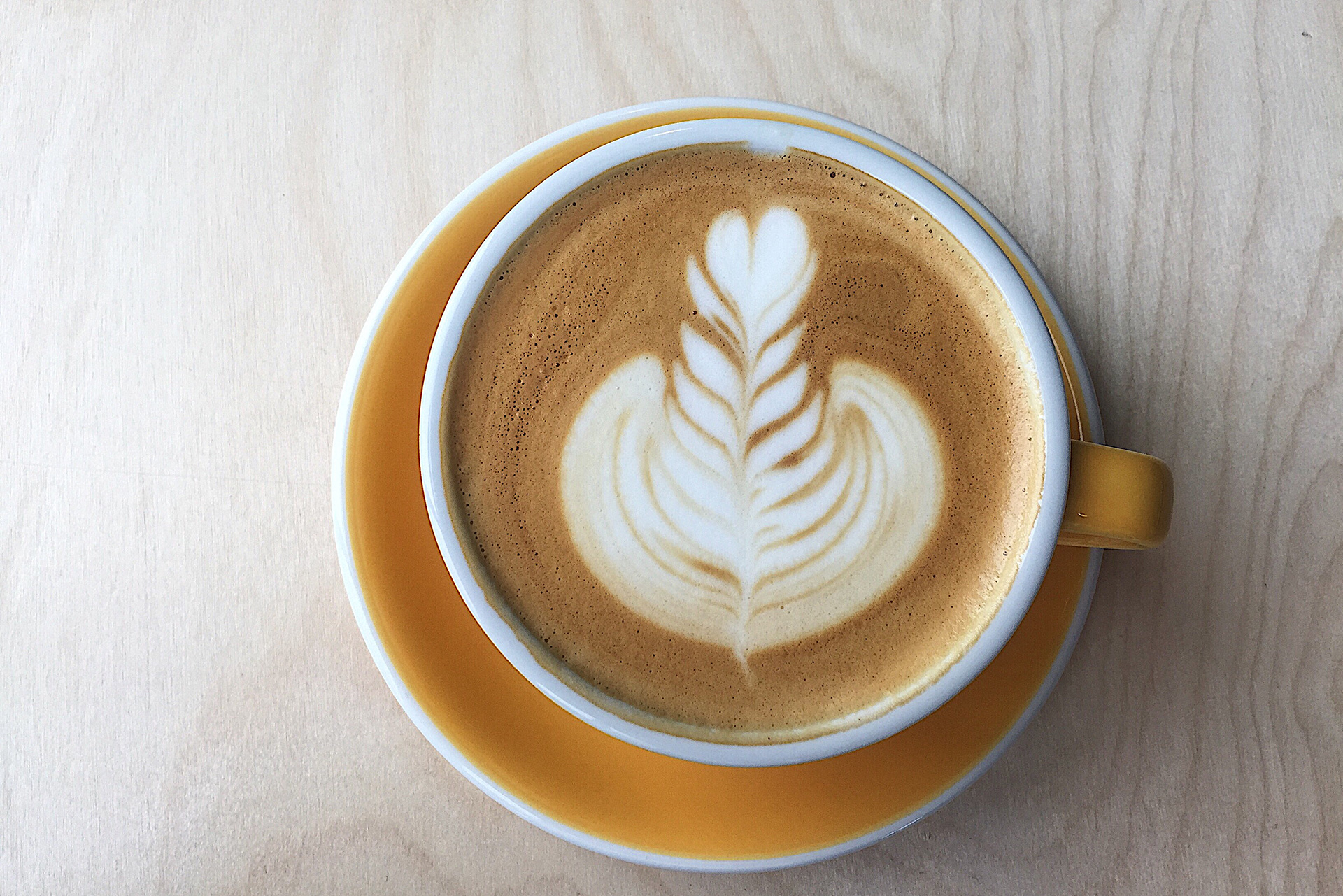 Push X Pull Carves Out A Corner In Southeast Portland Sprudge Coffee