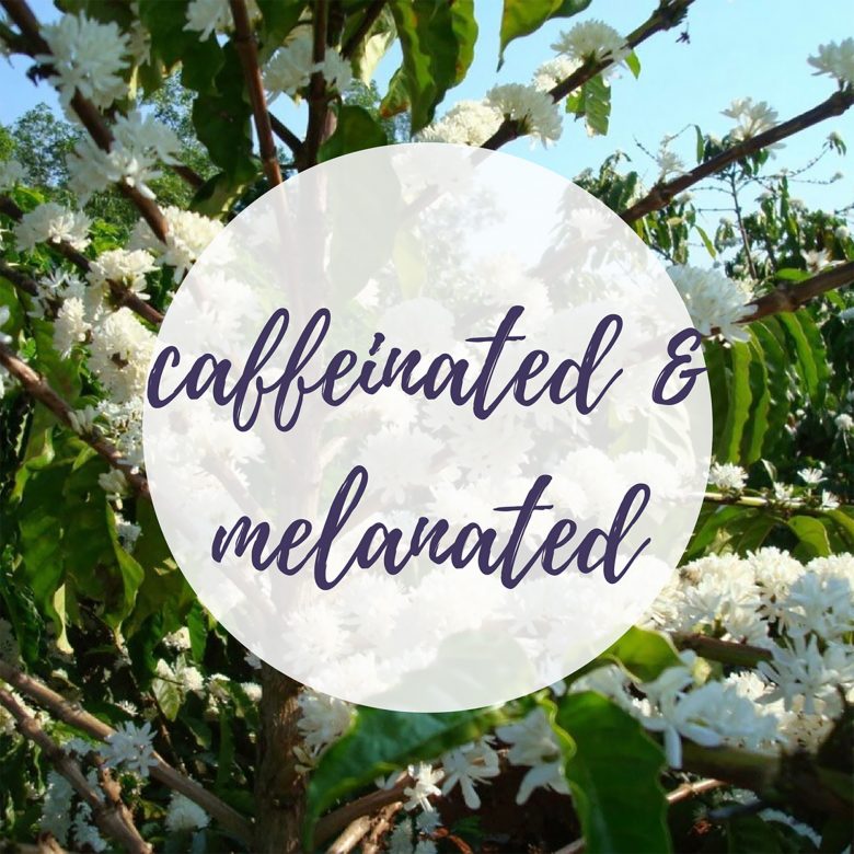 caffeinated and melanated alexandra zepada