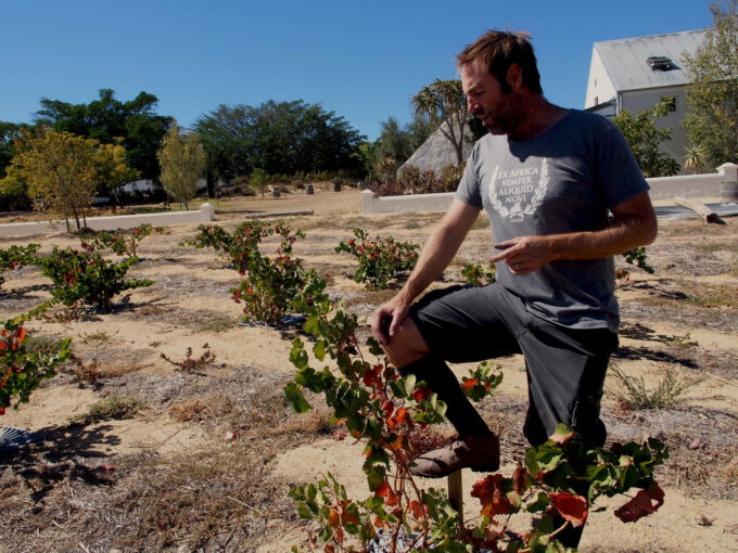 eben sadie ebenandbabyvines