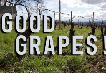 goodgrapeslogovineyard