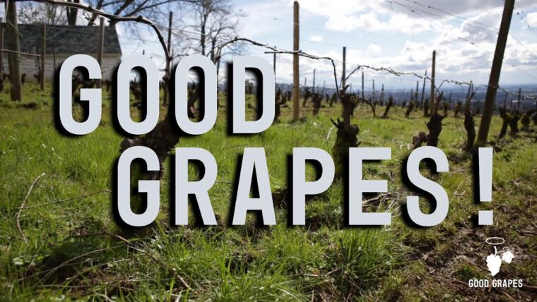goodgrapeslogovineyard