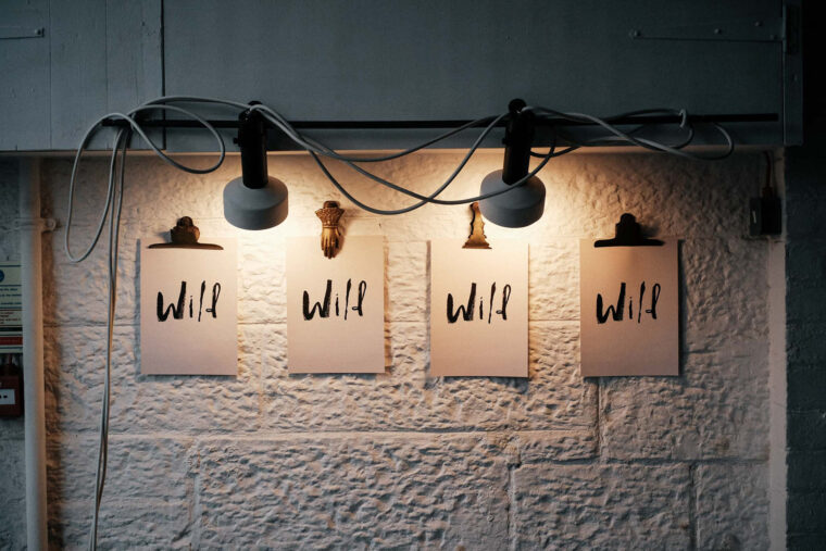 wild wine fair scotland 10