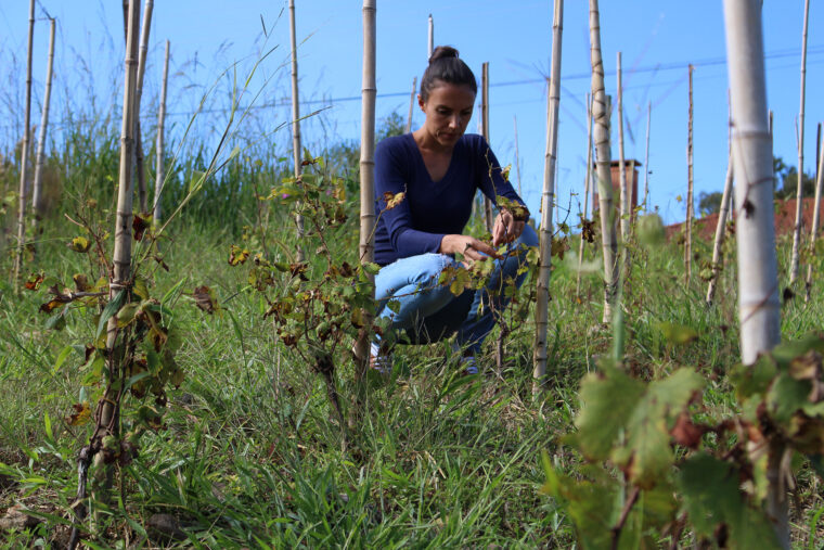 marina vinha unna 02