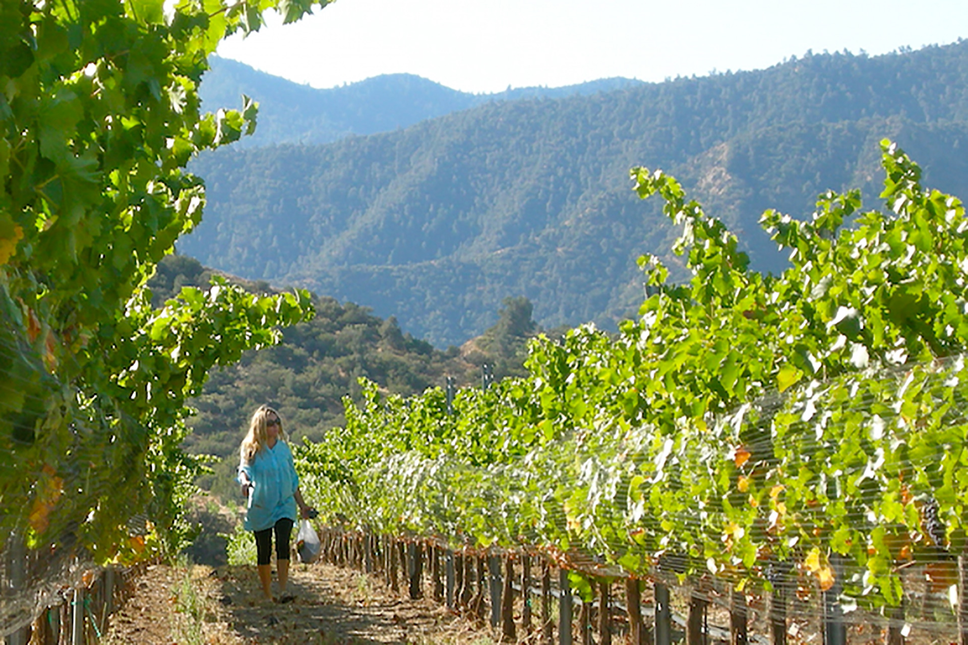 woman owned wineries angela osborne fruit sampling jason osborne