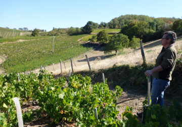 chateau des labourons christophe pacalet east favcing vines 2