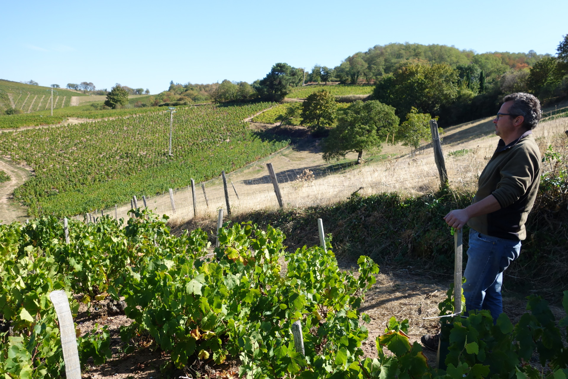 chateau des labourons christophe pacalet east favcing vines 2