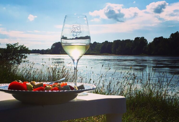 loire valley wine guide 1
