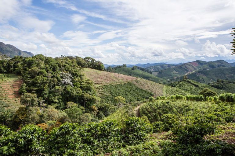 “An Exciting Time For Brazil” At The First-Ever Caparaó Coffee Showcase