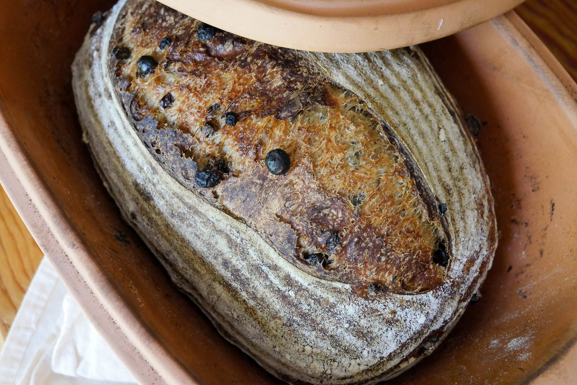 Cascara Currant Sourdough Final Loaf 2
