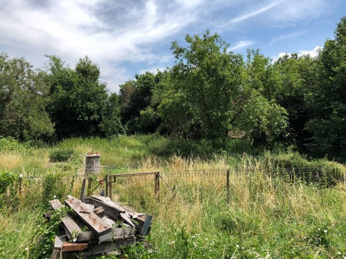 Cidrerie Du Vulcain Orchard Edouard Thorens 10