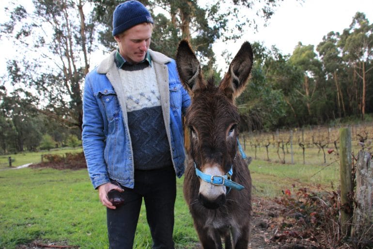 Chevrewine Suitcasewine Eileenpk 1498