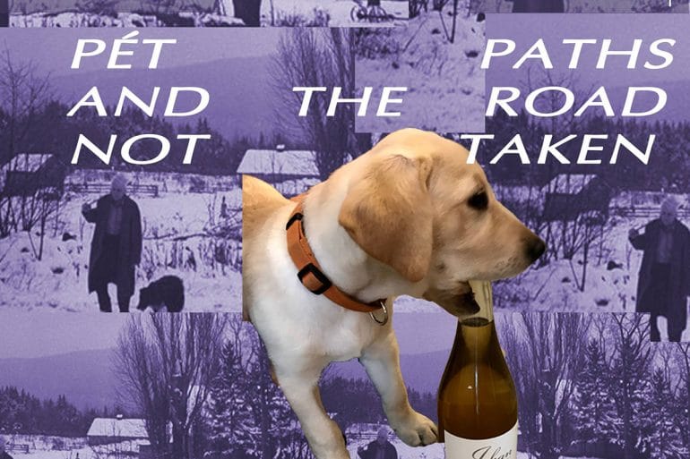 Pet Paths