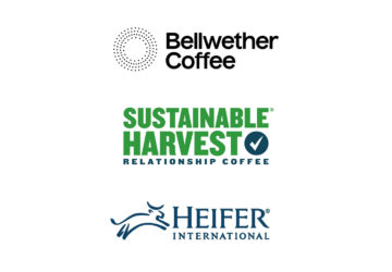 bellwether sustainable heifer logos
