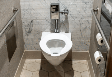 toilet feature