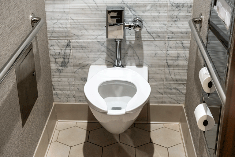 toilet feature