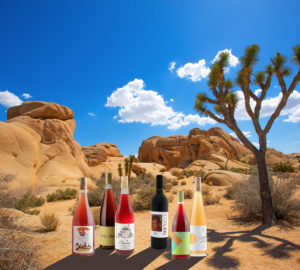 wine bottles desert