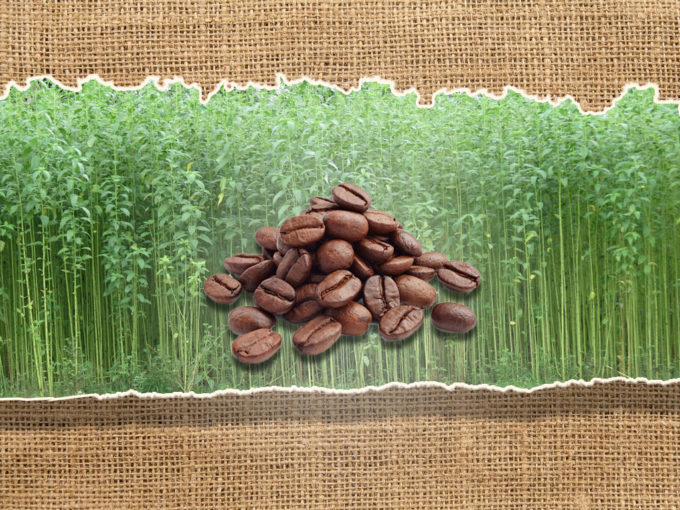 jute and coffee